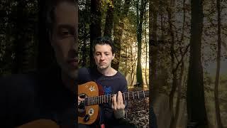 Okean Elzy - kavachay [intro] guitar cover #guitar #shorts