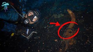 ENCONTRE HUESOS EN EL FONDO DE UN CENOTE ¿ DE QUE SERAN? VLOG 03   @Sebitaslife