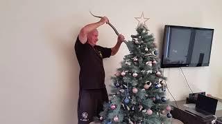 The snake catcher catches Tiger snake in Christmas tree