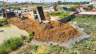 Great Project !! Technique skill Dump truck unloading soil & Dozer kUMATSU D6P pushing soil