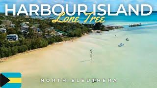 The Loneliest Tree in The Bahamas | HARBOUR ISLAND