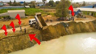 Strong Work Almost !! Skill Operator Dump Truck Pouring On Water With Old Bulldozer Moving Soil