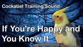 COCKATIEL training sound - If you're happy and you know it