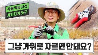 [식물백과사전] 가지치기를 위한 도구는 따로 있다!