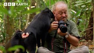 Bill Bailey Encounters Flying Frogs & Birds of Paradise | BBC Earth