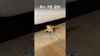 육아 쿠팡 꿀템! #내돈내산#육아꿀템#육아용품#육아정보#국민육아템