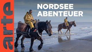 Belgien und die Niederlande | Leben an der Nordsee | ARTE Family