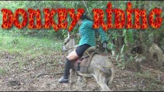 Donkey Riding #donkeyriding #ponyriding #esel #reiten #sheepriding #cowriding #goatriding