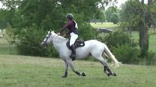 Laura Wilson & Joseph One and Done Horse Trials July 24