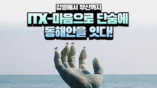 강릉에서 부산까지 한번에! 동해선 철도 개통 임박!