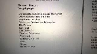 Vergnügungen - Bertolt Brecht