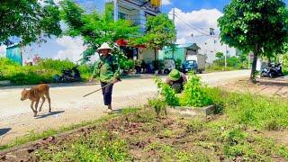 Clearing sidewalks full of thorns and weeds in the 45- degree heat