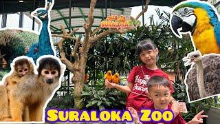 Wisata Jogja | Suraloka Zoo Kaliurang