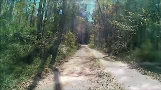 Georgia Mountain Orchard Road in the Chattahoochee National Forest