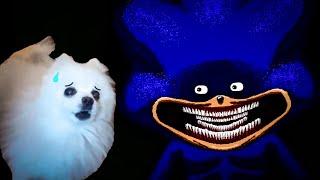 Shin Sonic Chases a Dog