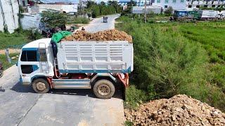 Update activity.! Technique! Dump Trucks 5T And KOMATSU Dozer filling Flooded land Next to the road.