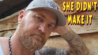 WHY DID SHE DIE? |tiny house homesteading off-grid cabin build DIY HOW TO sawmill tractor tiny cabin