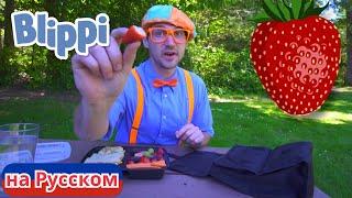 Детектив Блиппи | Блиппи на Русском | Изучай этот Мир вместе с Блиппи | Blippi