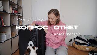 81. Как решиться на второй брак? Перегорела к каналу? Новое тату, чемодан в Корею! | Q&A Karolina K