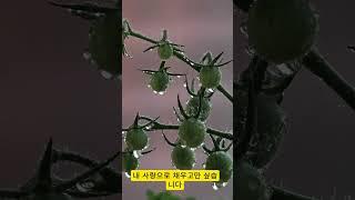 오늘의 좋은 글 #명언 #시