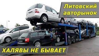 Видео для тех, кто хочет авто из Литвы / ХАЛЯВЫ НЕ БЫВАЕТ