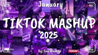 tiktok mashup 2024 January (clean)