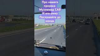26 июля 2024 г.