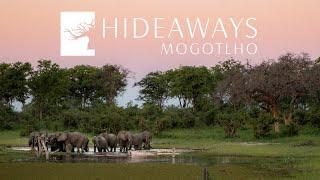 Life at Hideaways Mogotlho Safari Lodge, Khwai River