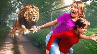 1 DAY AT THE ZOO | Amazing Animals | eslis