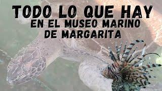 Museo Marino de Margarita ️| La Restinga | Pez León  | Isla de Margarita| El Caribe | Venezuela 