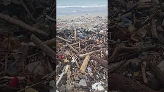 A beach in Bali was recently covered in trash. #sea #oceans #beach #Bali #cleanup