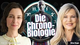 Chronobiologie für mehr Gesundheit – Prof. Dr. Relógio über zirkadiane Rhythmen & praktische Tipps