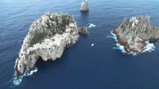 The Pinnacles - Poor Knights Marine Reserve, Yukon Dive and Snorkel, Tutukaka, NZ