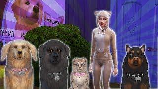 ON LES ADOPTES TOUS   -  SIMS 4