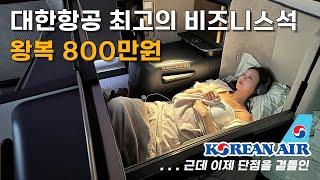 대한항공  신형 기종 장거리 비행 첫날! 확실히 느낀 장단점 비교 및 꿀팁 (feat, 근데 이제 사육을 곁들인.....)