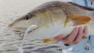 How To Quickly Catch An Inshore Slam When Fishing New Areas