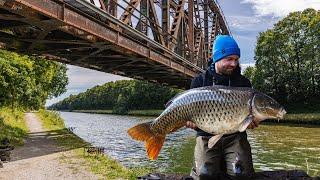 Meine erste Session am Kanal  | Es endet im Fangrausch 