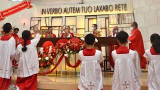 Misa Inkulturasi Tionghoa | Gereja St. Barnabas | Pamulang | Minggu, 29 Januari 2023