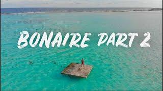 BONAIRE SHOULD BE ON YOUR TRAVEL LIST FOR 2019!!!