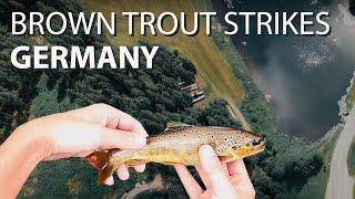 CATCHING BROWN TROUT in the BLACK FOREST GERMANY.