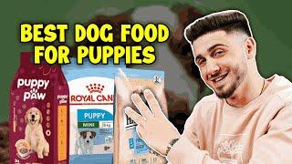 Top 3 Best Puppy Food In 2024