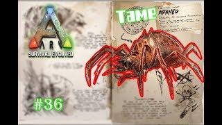 #36 Tame Araneo Santai - Ark Survival Evolved Mobile Indonesia