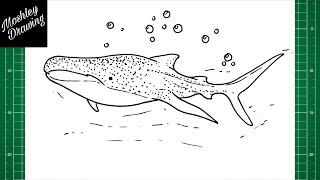 How to Draw a Whale Shark Step by Step