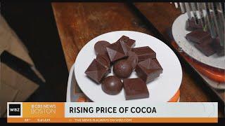 Cocoa prices are soaring