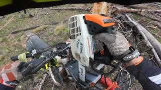 4 chainsaws clearing trail. How we leapfrog to keep things moving. Part 2