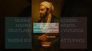 Ibn Sino 