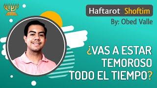 ¿Vas a estar TEMEROSO  todo el tiempo? │ Haftará SHOFTIM