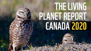 The Living Planet Report Canada 2020