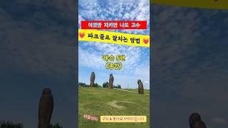 파크골프 잘치는 방법-레슨종합편