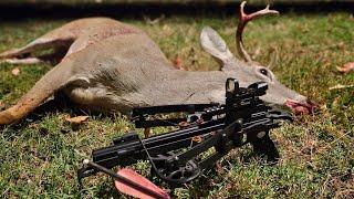 Deer Hunting in Street Clothes with a Mini Striker Pistol Crossbow